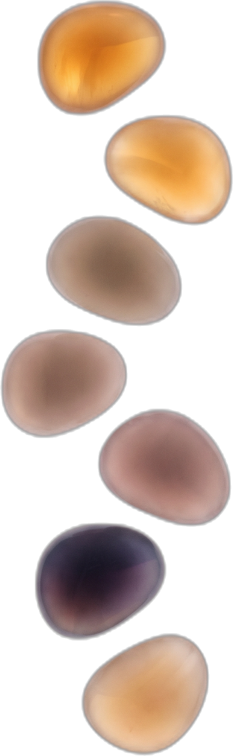 Seven days as smooth translucent stones falling in a line, each lit from within: two warm and gold, three muted, one deep violet, and the last warming again.